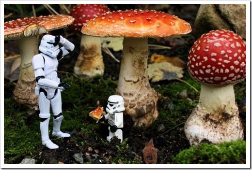 Stormtroopers Insanos