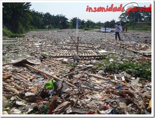 InsanidadeParcial-10_01_11-003