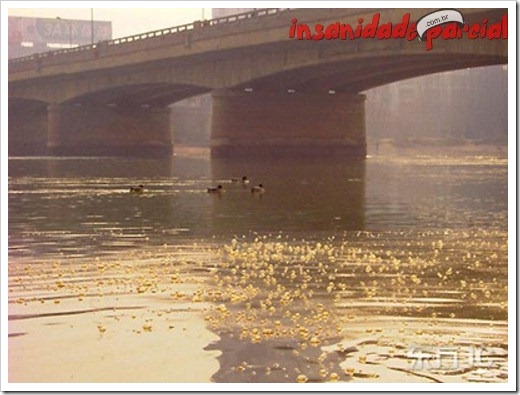 InsanidadeParcial-10_01_11-010