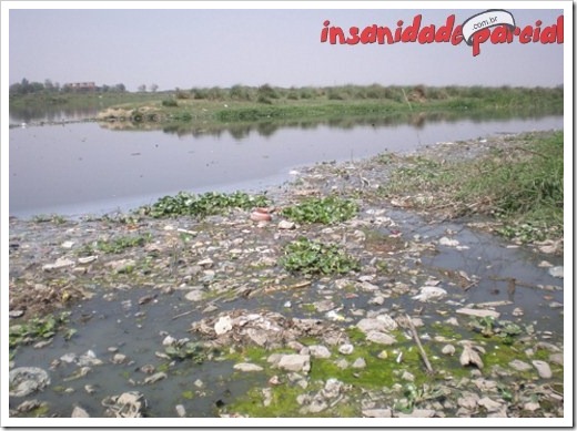 InsanidadeParcial-10_01_11-019