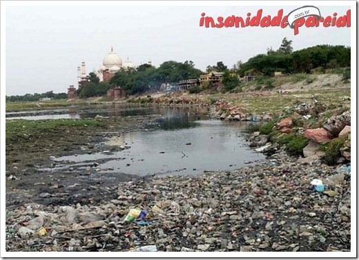 InsanidadeParcial-10_01_11-020