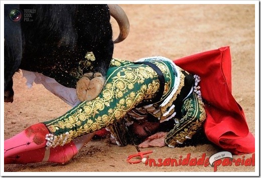 InsanidadeParcial-14_01_11-012