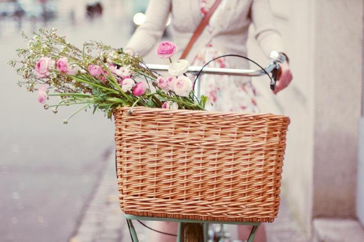 [beautiful-bike-and-accessories[10].png]