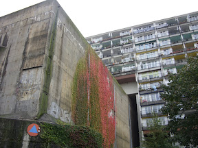 SDC10993.JPG