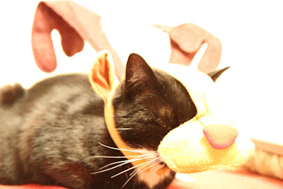 IMAGE: http://lh6.ggpht.com/_dF1IPQ7gd6o/Sy_XZJZW8gI/AAAAAAAASxs/j5QkUnyP0lE/s400/7d-1.jpg