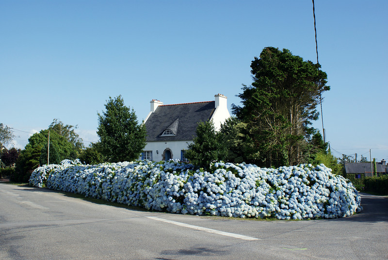 600314008_FrKak-L.jpg