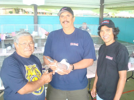 Straub Clinic And Hospital. Straub Clinic amp; Hospital.