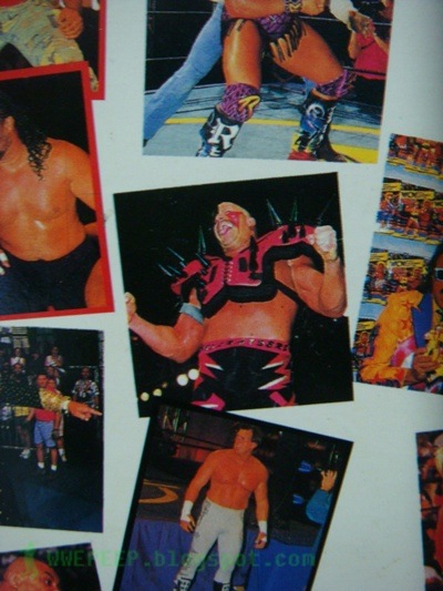 [VDO VHS WWF WCW WWE 15[7].jpg]