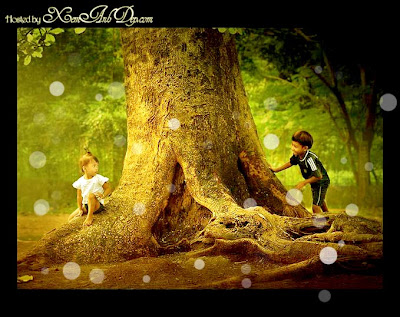 Chiều suy tư