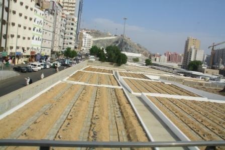 [IMG_16392.jpg]