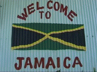 http://lh6.ggpht.com/_dHKnwUytstA/TECuD4za-MI/AAAAAAAAArQ/MSr39XNVyCs/presentation%20ile.avi.flv.GIF