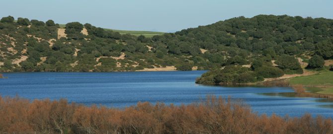 Lagunas y humedales
