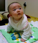 Cóc cụ 2