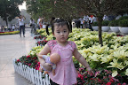 Vườn hoa Lý Thái Tổ