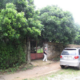 linhtinh