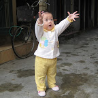 Chip 15 tháng