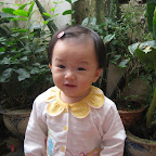 Chip 15 tháng