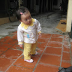 Chip 15 tháng