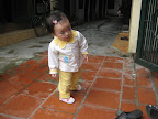 Chip 15 tháng