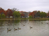 SDC14667.JPG