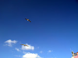 SDC14510.JPG