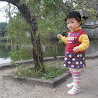 SDC10011.JPG