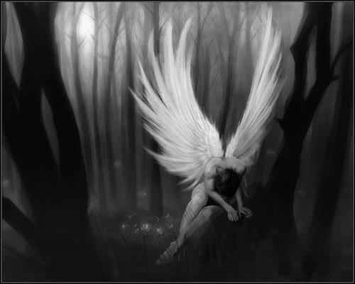 [anjosolitario[10].jpg]