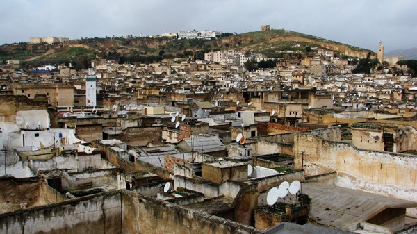 [fez04[5].jpg]