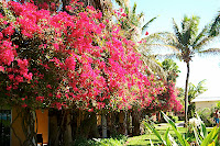 Turks and Caicos Day 5  - 069
