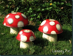 mushrooms 5 wm.jpeg