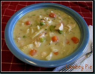 Chicken Noodle soup 1 wm.jpeg