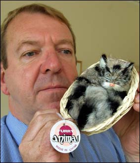 stuart stevenson