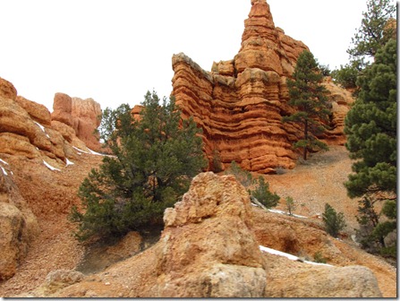 Bryce Canyon National Park 065