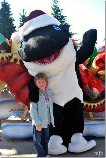 wshamu