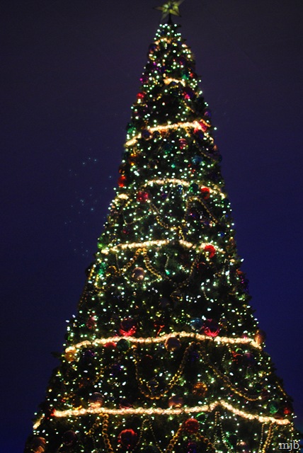 [beluga tree[4].jpg]