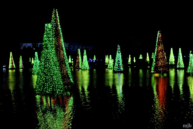 [lighted trees[3].jpg]