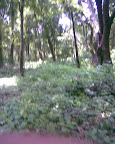Thumbnail image for Sitamata Santuary
