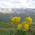 Gümüşhane-Kürtün-Barak-Yaylası-2000-2010-003