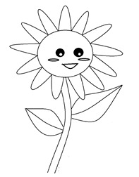 happyflower_lingedepateco happyflower_lingedepateco