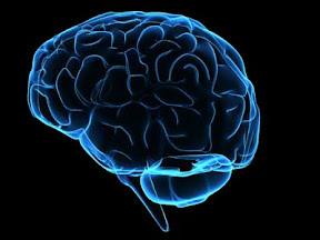5 Steps To A Healthy Brain