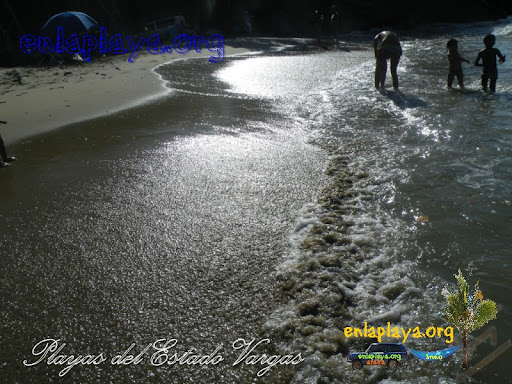 Playa Quebrada Honda V014