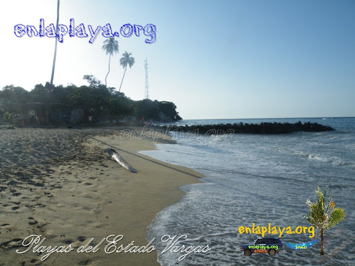 Playa La Sabana V017