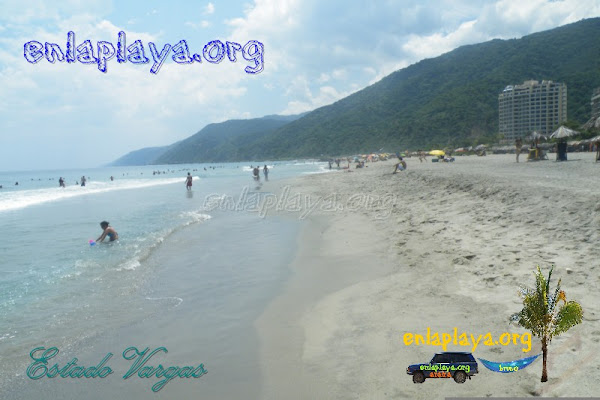 Playa Pelua V049