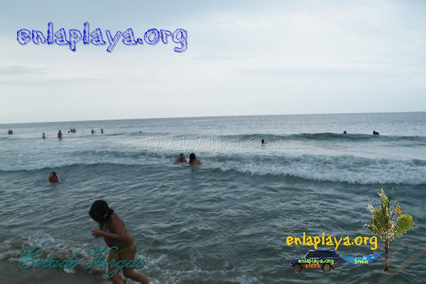 Playa Greysmar V032 (Los Caracas)