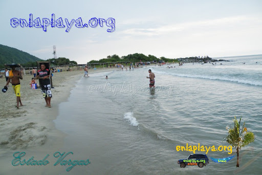 Playa Pescado V033 (Los Caracas)