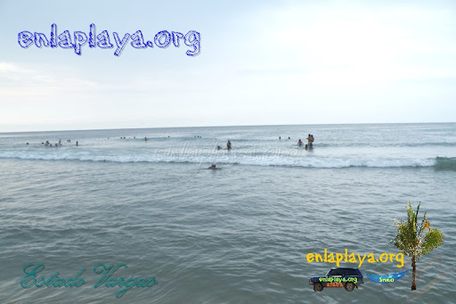 Playa Pescado V033 (Los Caracas)