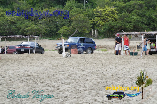 Playa Pescado V033 (Los Caracas)
