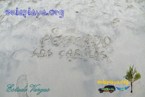 Playa Pescado V033 (Los Caracas)