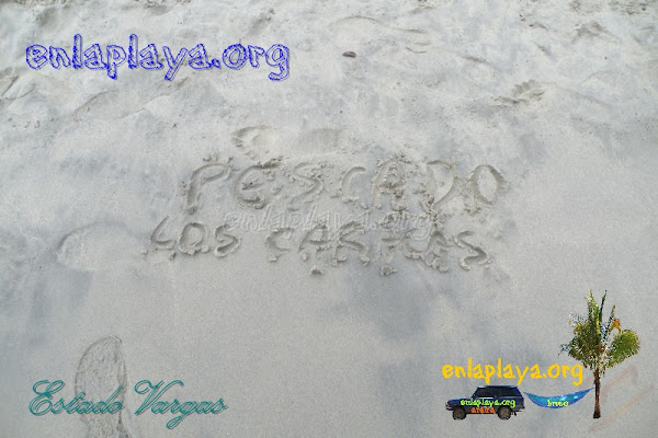 Playa Pescado V033 (Los Caracas, Estado Vargas, Las Mejores Playas de Venezuela, Top100