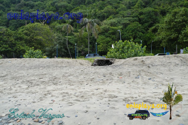 Playa La Punta V034 (Los Caracas)